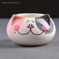 Горшок "Котенок" 9х6см, МИКС