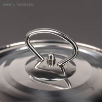 Котелок из нержавеющей стали &laquo;Походный&raquo;, 2,5 л, d=20 см