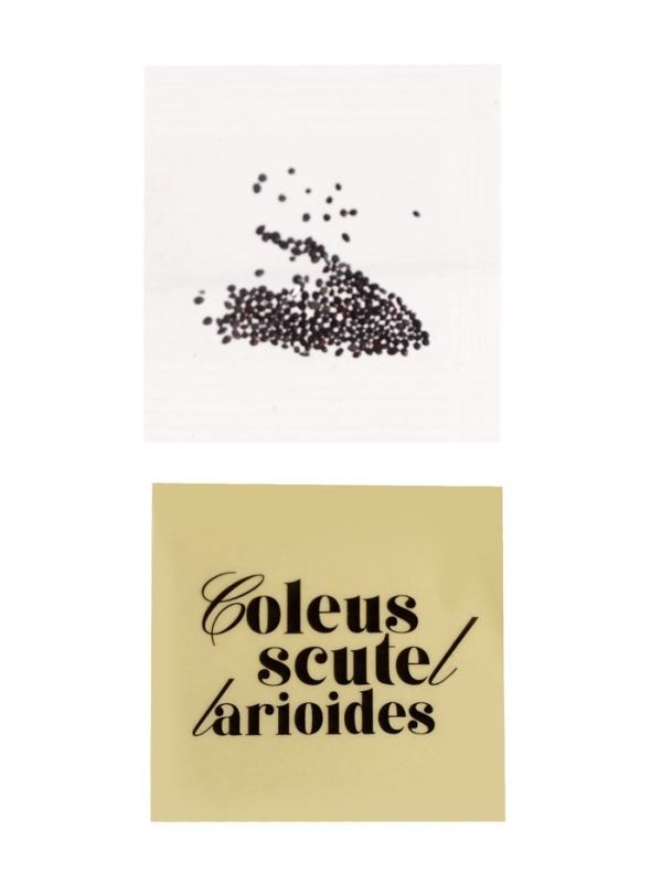 ЭВРИКИ Набор для опытов "Выращиваем травку", розовый