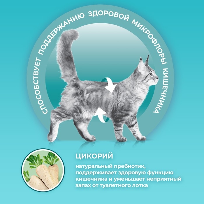 Сухой корм Purina one для стерилизованных кошек, лосось/пшеница, 200 г Сухой корм Purina one для стерилизованных кошек, лосось/пшеница, 200 г