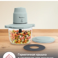 Измельчитель Choppeo DJ603110, 2 скорости