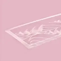 Форма для шоколада &laquo;Перья&raquo;, пластик, 20,5&times;10,5&times;1,5 см, прозрачная