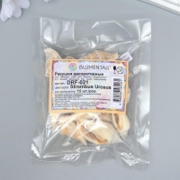 Декоративные ракушки "Strombus Urceus" 15 шт