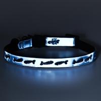 Ошейник кошачий со светоотражающим покрытием "Рыбки", 30 х 1 см,  голубой