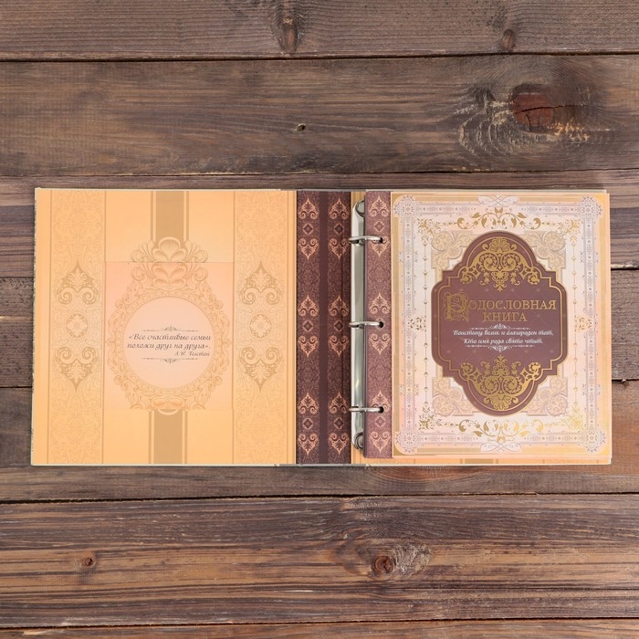 Родословная книга с рамкой под фото &laquo;Семейная летопись&raquo;, 22,5 х 23,7 см.