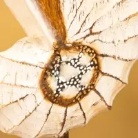 Набор сувенирный "Раковины" дерево (h - 35.30 и 25 см), цв. бежевый