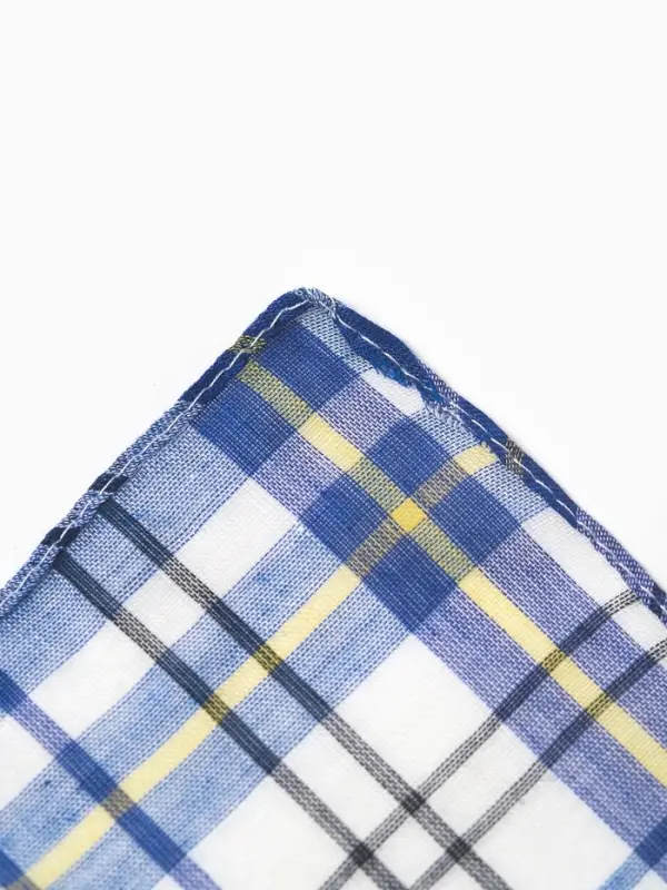 Платки носовые мужские Экономь и Я "Квадрат" 38*38 см, (набор 10 шт), рис. МИКС,100% пэ