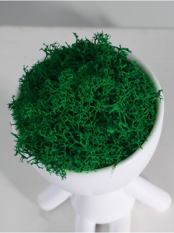 Кашпо пластиковое "Мистер Грин на чиле" 10*10,5*7,3 см белый