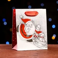 Пакет ламинированный &laquo;Мороз и Снеговик&raquo; 11.5&times;14.5&times;6 см