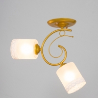 Люстра "Оливия" 2хЕ27 40т золото шампань 40х15х25 см BayerLux