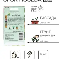 Семена Огурец "Вкус детства F1" 12 шт