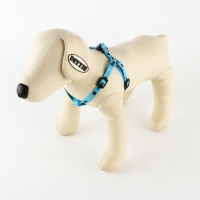 Комплект &laquo;Дай пять&raquo;, шлейка 26-39 см, поводок 120х1 см