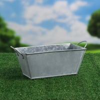 Кашпо &laquo;Бонсай Альма&raquo;, 20&times;10&times;10 см