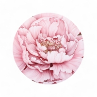 Набор шляпных коробок для цветов 5 в 1, упаковка подарочная, «Бутон», 16 х 14 см - 22 х 19,5 см Набор шляпных коробок для цветов 5 в 1, упаковка подарочная, «Бутон», 16 х 14 см - 22 х 19,5 см