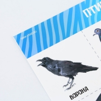 Набор обучающих плакатов &laquo;Изучаем мир&raquo;, 10 в 1, А4