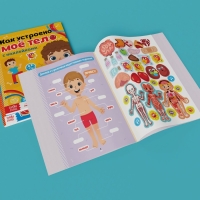 Наклейки набор &laquo;Тело человека&raquo;, 2 шт. по 16 стр.