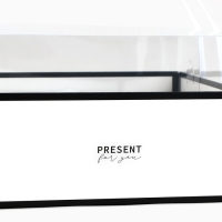 Коробка для цветов с формовым вкладышем и PVC крышкой &laquo;Present&raquo;, 23.5 х 23.5 х 15 см