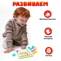 Развивающий набор &laquo;Магниты&raquo;, изучаем формы и фигуры