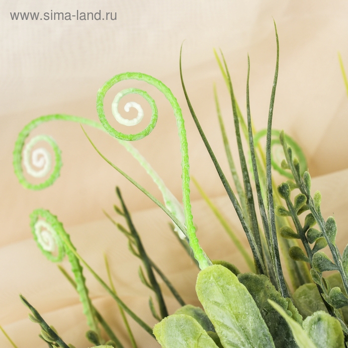 Букет Букет "Травка с завитками" 30 см