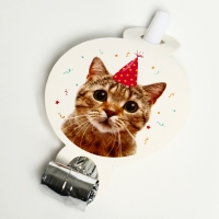 Карнавальный язычок кругляш &laquo;Котик&raquo;, набор 6 шт.