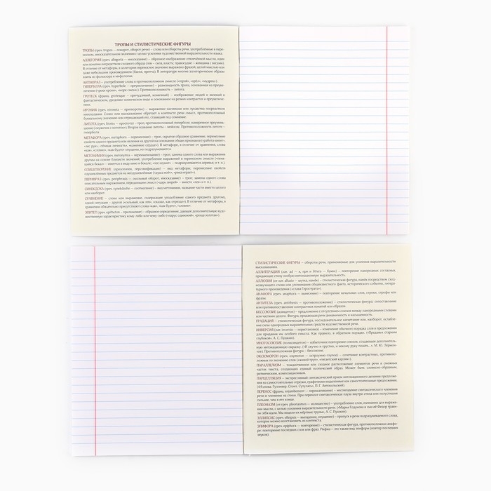 Предметная тетрадь А5, 48 л на скрепке &laquo;Силуэт.Литература&raquo; Софт тач лам, уф лак