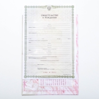 Папка для свидетельства о рождении &laquo;О рождении девочки&raquo;, А5