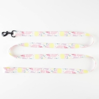 Поводок &laquo;Сочное настроение&raquo;, 2.5 см, 2 м