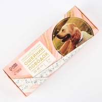 Набор &laquo;Мрамор&raquo;, застёжка - фастекс, поводок 2 м и ошейник 28-46 см