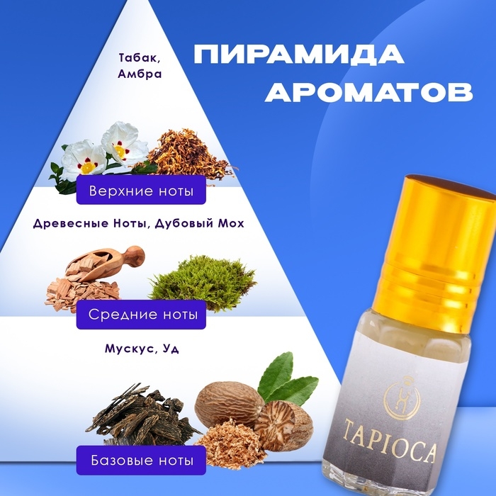 Духи масляные мужские Tapioca, 3 мл