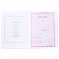 Папка для свидетельства о заключении брака &laquo;Розовая дымка&raquo;, А4
