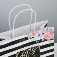 Пакет подарочный крафтовый, упаковка, &laquo;Gifts&raquo;, 25 х 22 х 12 см