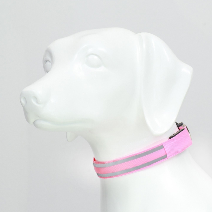 Ошейник с подсветкой Двойная полоса размер М, ОШ 40-48 х 2,5 см 3 режима свечения розовый Ошейник с подсветкой Двойная полоса размер М, ОШ 40-48 х 2,5 см 3 режима свечения розовый