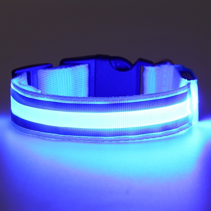 Ошейник с подсветкой Двойная полоса размер S, ОШ 35-43 х 2,5 см, 3 режима свечения голубой Ошейник с подсветкой Двойная полоса размер S, ОШ 35-43 х 2,5 см, 3 режима свечения голубой