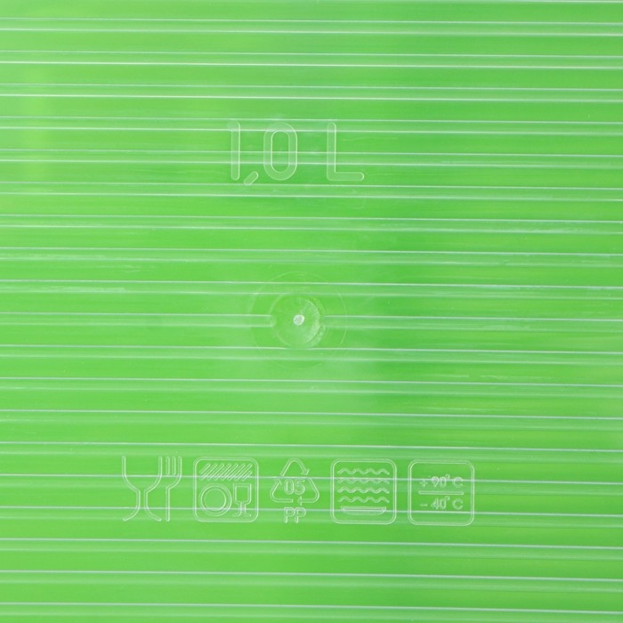 Набор пищевых контейнеров &laquo;BioFresh&raquo;, 3 шт: 1 л, 1,6 л, 2,3 л, цвет микс