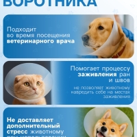 Ветеринарный воротник с креплением на ошейник, высота 15 см (без ошейника)