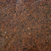 Семена Фацелия "Рецепты дедушки Никиты", 1 кг