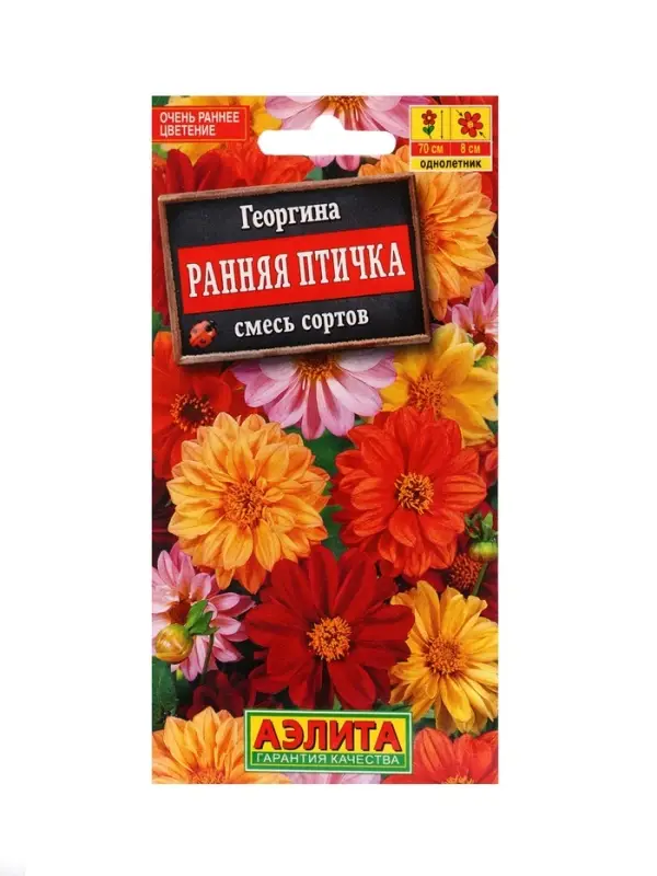 Набор Семена цветов Георгины махровая низкорослая (238760048) ВБ