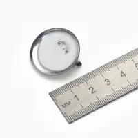 Основа для броши с круглым основанием СМ-367, (набор 5шт) 28 мм, цвет серебро