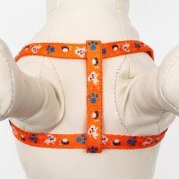 Комплект амуниции "Собачки",  поводок 120 х 1 см, ОГ 27-42 см, оранжевый