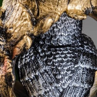 Копилка "Сова в дупле" 29х22х14см Копилка "Сова в дупле" 29х22х14см