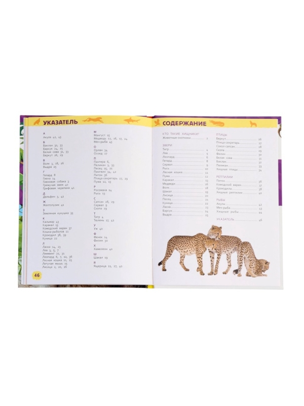 Детская энциклопедия "Дикие животные"