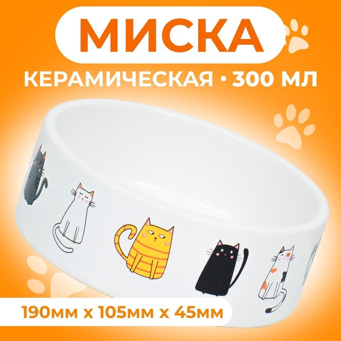 Миска керамическая "Котяры" 300 мл  12,5 x 4,5 cм, белая