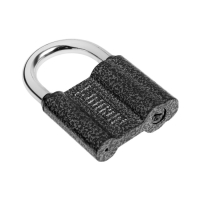 Замок навесной "АЛЛЮР" ВС1Ч-470, дужка d=10 мм, 5 ключей Замок навесной "АЛЛЮР" ВС1Ч-470, дужка d=10 мм, 5 ключей