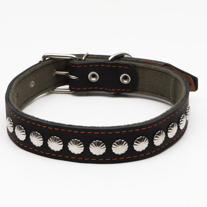 Ошейник комбинированный кожа/брезент, 69 х 3,5 см, украшенный, ОШ 45-60 см, чёрный Ошейник комбинированный кожа/брезент, 69 х 3,5 см, украшенный, ОШ 45-60 см, чёрный