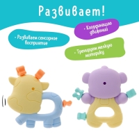 Набор прорезывателей для зубов &laquo;Забавные зверята&raquo;, 2 шт.