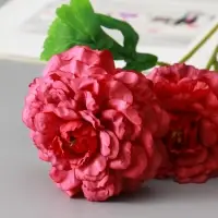 Цветы искусственные "Хризантема волнистая галант" d-8 см 58 см, пыльно-розовый