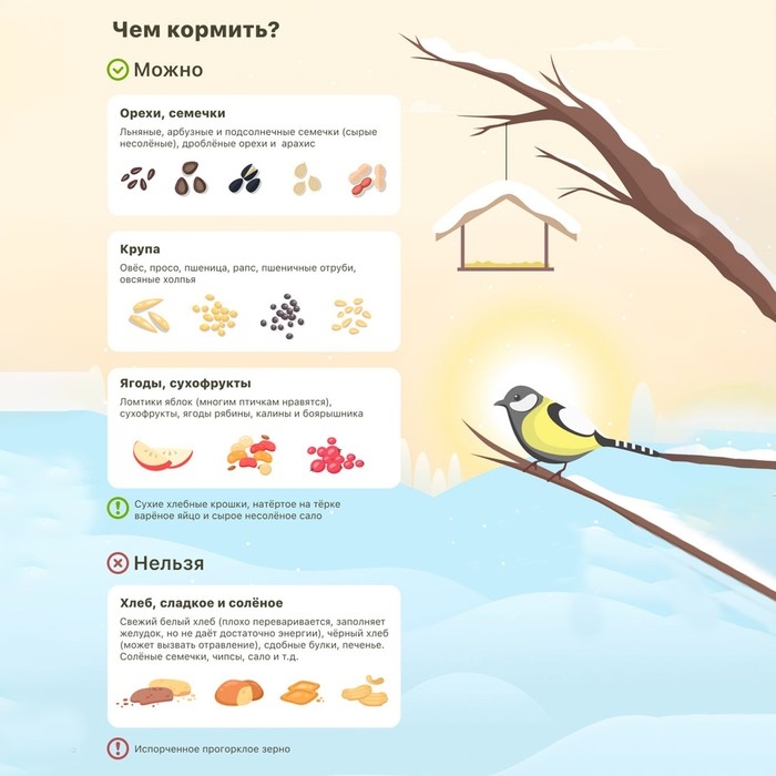 Деревянная кормушка своими руками для птиц &laquo;Тигр&raquo;, 15,5 &times; 15 &times; 18,5 см, Greengo