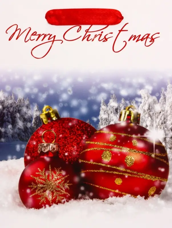 Пакет подарочный ламинированный "Новогодние игрушки", 18 х 23 х 10 см