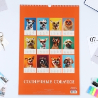 Календарь перекидной на ригеле А3 "Солнечные собачки" 2025, 32 х 48 см Календарь перекидной на ригеле А3 "Солнечные собачки" 2025, 32 х 48 см