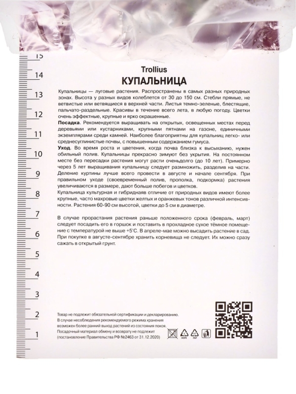 Купальница китайская, р-р I, 1 шт, Весна 2025 Купальница китайская, р-р I, 1 шт, Весна 2025